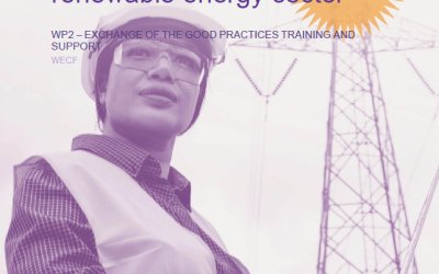 Energy Sector Faces Challenges in Gender Mainstreaming, but New Training Programs Offer Solutions